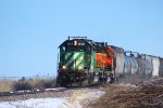 BNSF 1656 Leads the LINHAS